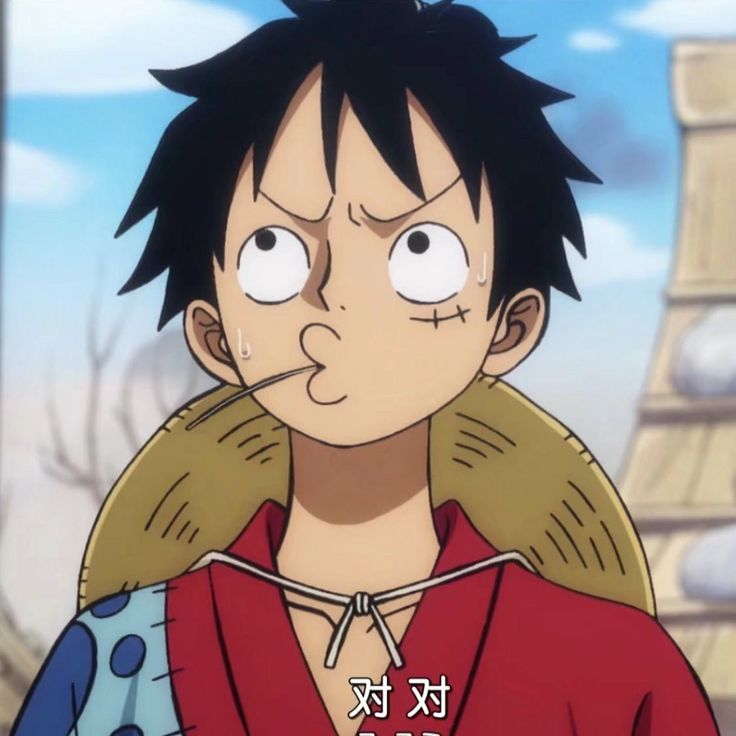 luffy_login